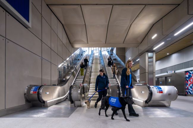 Battersea tube